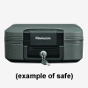 Sentry CFW Series Fire Safe Example